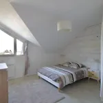 Pretty Terraced House With Garden Level In